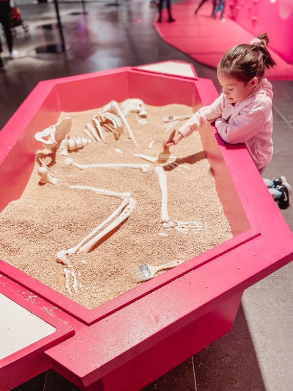 Top 10 Educational Places for Kids in Montreal Centre des sciences de Montreal