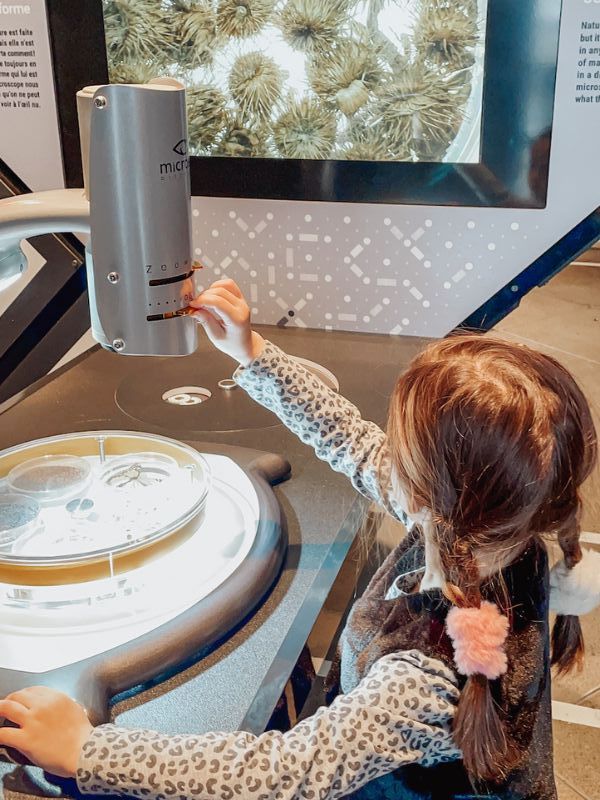 Top 10 Educational Places for Kids in Montreal Centre des sciences de Montreal