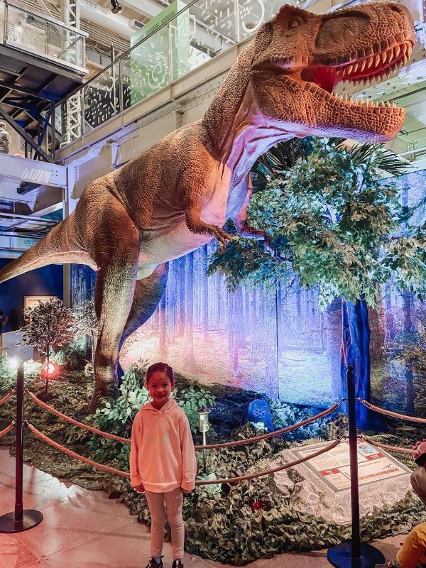 Top 10 Educational Places for Kids in Montreal Centre des sciences de Montreal