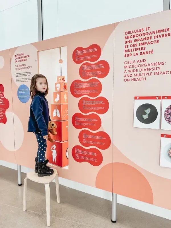 Top 10 Educational Places for Kids in Montreal Musée Armand-Frappier