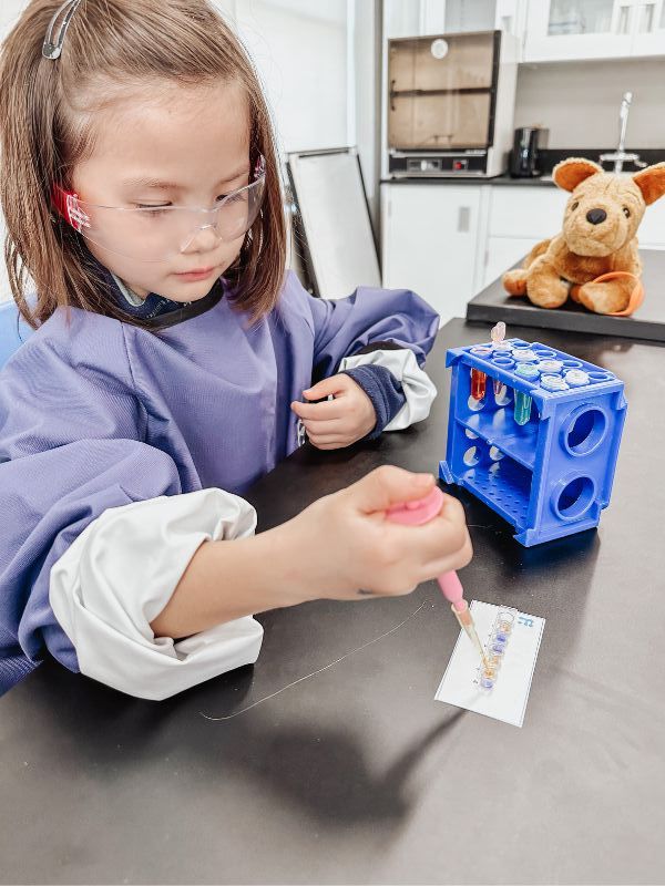 Top 10 Educational Places for Kids in Montreal Musée Armand-Frappier