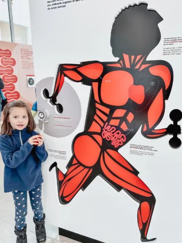Top 10 Educational Places for Kids in Montreal Musée Armand-Frappier