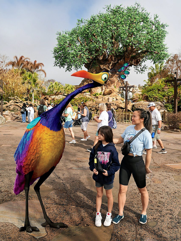Walt Disney World Animal Kingdom One day Memory maker Photo pass app